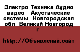 Электро-Техника Аудио-видео - Акустические системы. Новгородская обл.,Великий Новгород г.